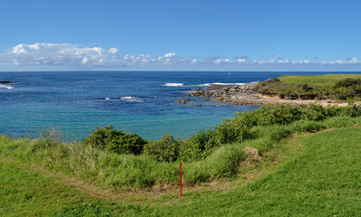 Obraz premium little bay Sydney Australian beaches