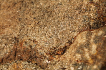 ancient inscriptions in stone in Sinhala letters