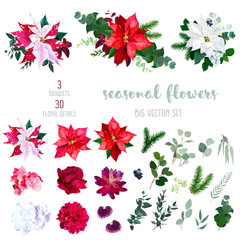 Red, white and marbled poinsettia flowers, hydrangea, peony, dahlia, orchid, red succulent, fir branch and mix of seasonal plants and herbs big vector collection.All elements are isolated and editable