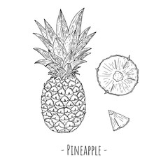 Pineapple and slices of pineapple. Isolated objects on a white background. Hand-drawn style.