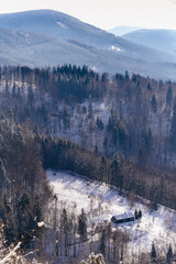 Mountain hut in winter among trees in forest.