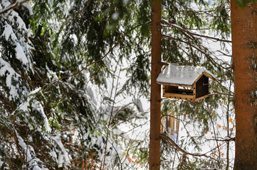 Wooden bird feeder near a tree trunk under branches of spruce with snow.