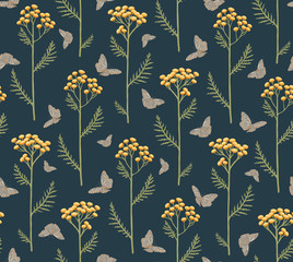 Tanacetum and butterflies on a dark blue Background.Seamless pattern with flowers of tansy and butterflies. Botanical hand drawn illustration