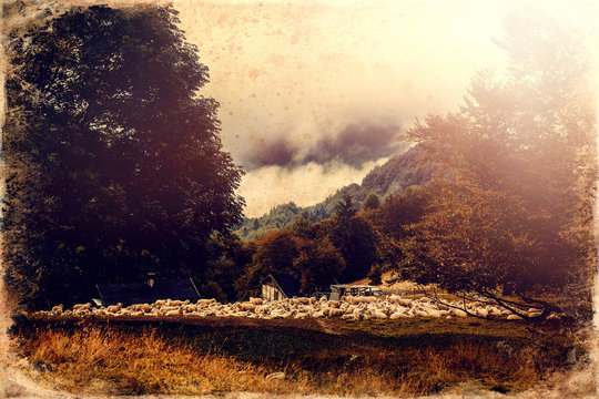 Flock of sheep on beautiful mountain meadow, old photo effect.