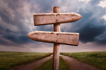 Wooden Signpost with Two Ways on Field on Background. Empty Weathered Wood Left and Right Signboard.