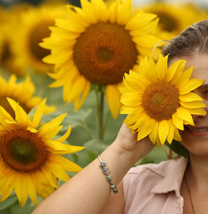  woman in a field with a sunflower, close-up, portrait