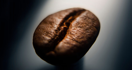 roasted brown coffee bean close-up