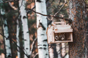 Wooden feeder for birds and squirrels hangs on tree in forest park in spring time.