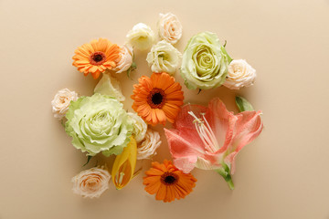top view of spring flowers on beige background