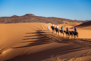 Fototapeta na wymiar Berber man leads a caravan of camels in the desert Merzouga, Sahara, Morocco with tourists
