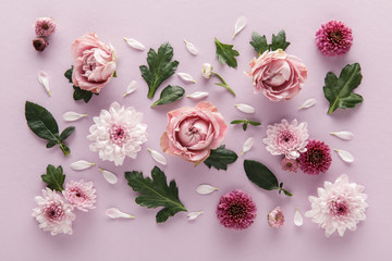 top view of blooming spring Chrysanthemums and roses with leaves and petals on violet background