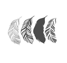 Big vector set collection of vintage feathers. Feather silhouette. Detailed sketch of a pen tattoo. Writer Pen