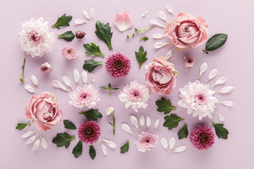 top view of blooming spring Chrysanthemums and roses with leaves and petals on violet background