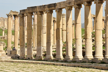 Fototapeta premium Columns of ruined Greco-Roman city of Gerasa