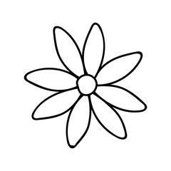 Daisy, camomile Doodle illustration.Black and white image.Contour drawing.Flower image.Isolated flower on a white background.Simple drawing.Vector