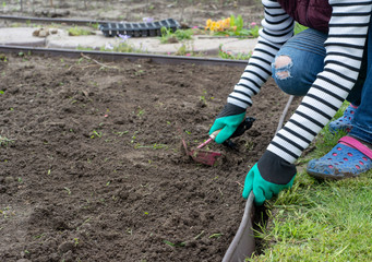 Create lawn edge in the garden