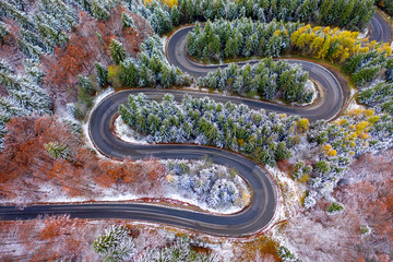 Aerial view of a winding mountain road passing through a fir trees forest. Winter with snow