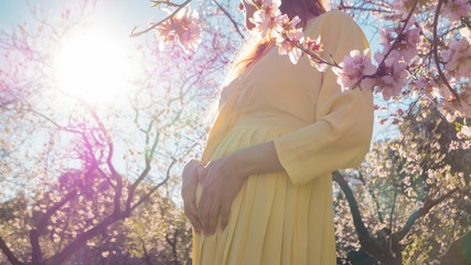 Beautiful pregnant woman maternity photoshoot in blooming early spring flowers with her hands in heart shape showing care and healthy lifestyle