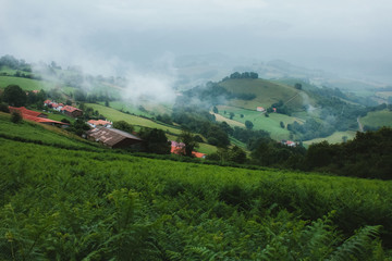 Landscape of mountain meadows, forests and peaks of the Pyrenees mountains in summer. Green Pyrenees. Blue mountains on the background. Countryside landscape in France on the way of Santiago.