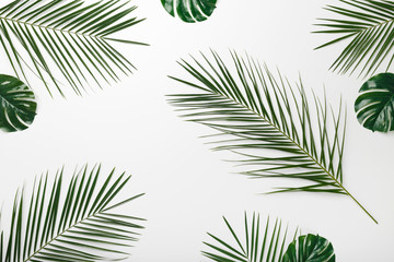 Natural background or wallpapers with monstera leaves