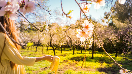 Concept photo of healthy lifestyle and diet of a banana for a picnic outdoor in a beautiful park with early spring flowers, Recycling and waste control to protect the environment.