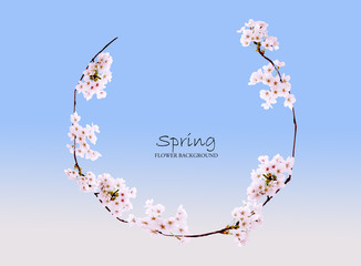 A background picture of the spring mood with cherry blossoms