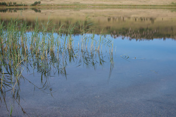 The nature of Russia