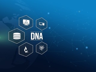 DNA