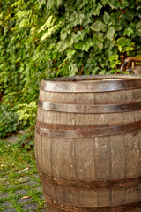 Fototapeta premium old wine barrel on the paving stones