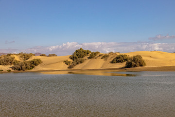 landscape on the Spanish Canary island of Gran Canaria with the La Charca de Maspalomas lagoon