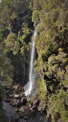 Fototapeta premium Madère, chute d'eau du Risco