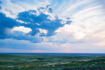 Beautiful picturesque spring landscape with green steppe