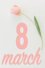 8 march. Happy womens day floral greeting card. 8 march text on pink tulip  flat lay on white background. Handwritten lettering. International women day. Vertical image