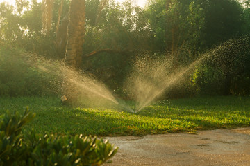 Automatic watering of the lawn. Gardening and lawn care concept