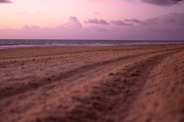  MORNING ON THE BEACH