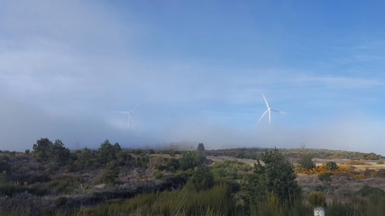 Mad&egrave;re, les &eacute;oliennes dans le brouillard du plateau Paul da Serra