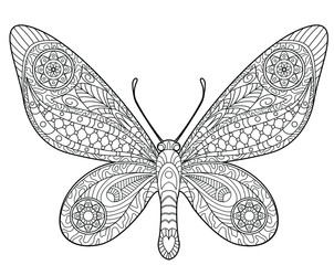 Butterfly coloring page for children and adults. Beautiful drawings with patterns and small details. Hand drawing vector illustration in black outline on a white background