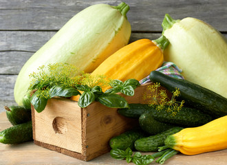 Variety of fresh spring and summer vegetables: cucumber, basil, zucchini, dill on rustic wooden background with space for your design, closeup, organic eco homegrown food concept