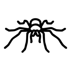 Spider line icon isolated on white background. Vector illustration
