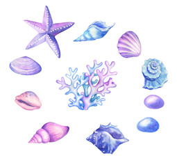  Watercolor seashells, starfish in blue, pink and purple colors.