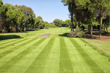 Obraz premium The jet of water watering the lawn for a game of Golf. Golf course with hills and plains, trees and a pond with water. A large field with perfectly