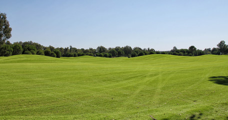 The jet of water watering the lawn for a game of Golf. Golf course with hills and plains, trees and a pond with water. A large field with perfectly
