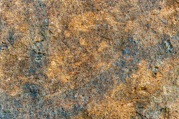 Surface of old fortifications at Fort Phoenix