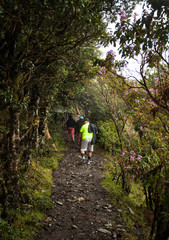Obraz premium Senderismo, montañismo, trekking, deporte en montaña. Colombia Volcan Purace