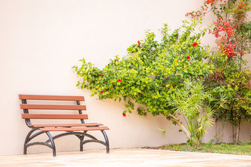 Obraz premium Figured bench made of metal and wood next to the house on the background of a beige light pink, wall with green flowering bushes.