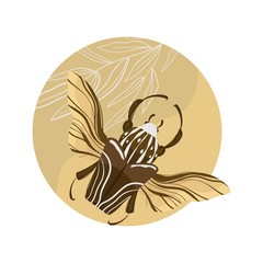 Goliath beetle. Goliathus cacicus vector hand drawn illustration.