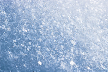 Texture of toned freshly fallen snow. Christmas template for design. Clearly visible individual snowflakes. Winter background.