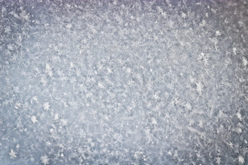 The texture of freshly fallen snow. Christmas template for design. Clearly visible individual snowflakes. Winter background.