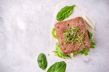 Vegetarian salad sandwich with green vegetables and fruits, healthy snack, nutritious fitness Breakfast