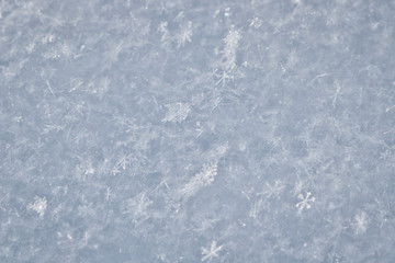 The texture of freshly fallen snow. Christmas template for design. Clearly visible individual snowflakes. Winter background.